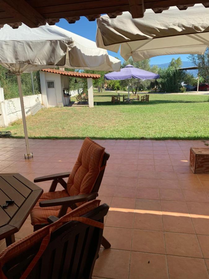 Village Dimopoulos Rododáfni Kültér fotó