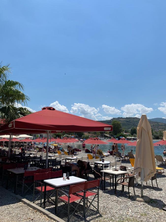 Village Dimopoulos Rododáfni Kültér fotó