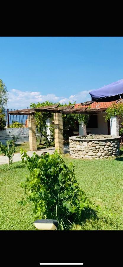 Village Dimopoulos Rododáfni Kültér fotó