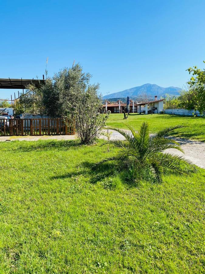Village Dimopoulos Rododáfni Kültér fotó